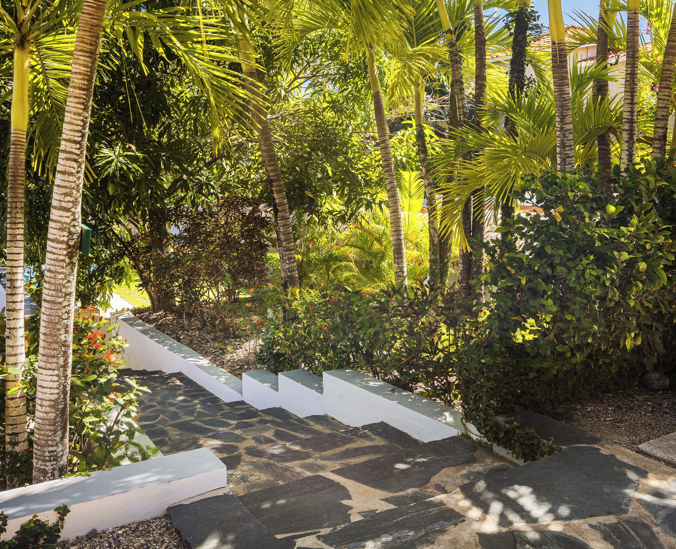 A stone staircase surrounded by lush greenery and palm trees.