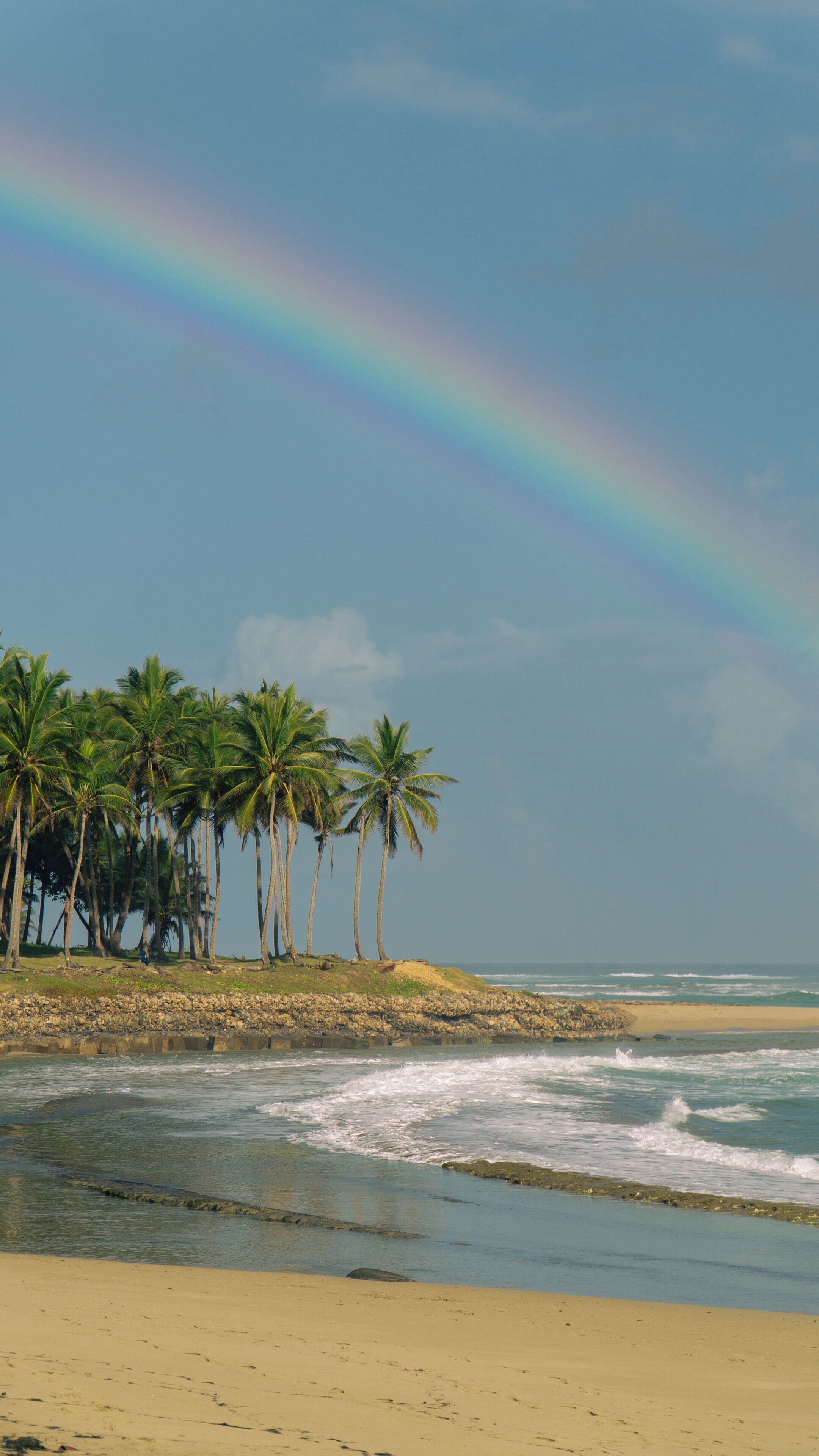 Une plage bordée de palmiers, avec un arc-en-ciel en arrière-plan.