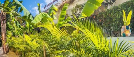 Un camino bordeado de palmeras bananeras y un edificio con techo de paja y un cartel que dice 'el encuentro'.