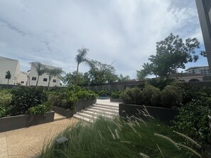 A landscaped outdoor area with steps leading to a building, surrounded by greenery and palm trees.