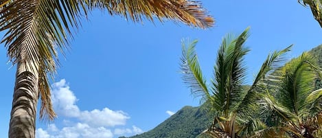 靠近海滩