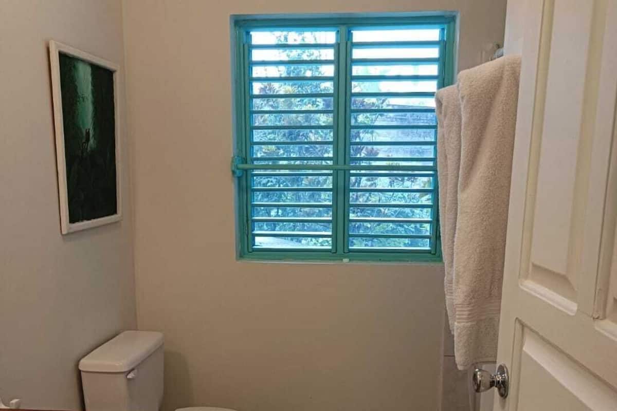 Un baño con inodoro, lavamanos, ventana con contraventanas azules y zona de ducha.