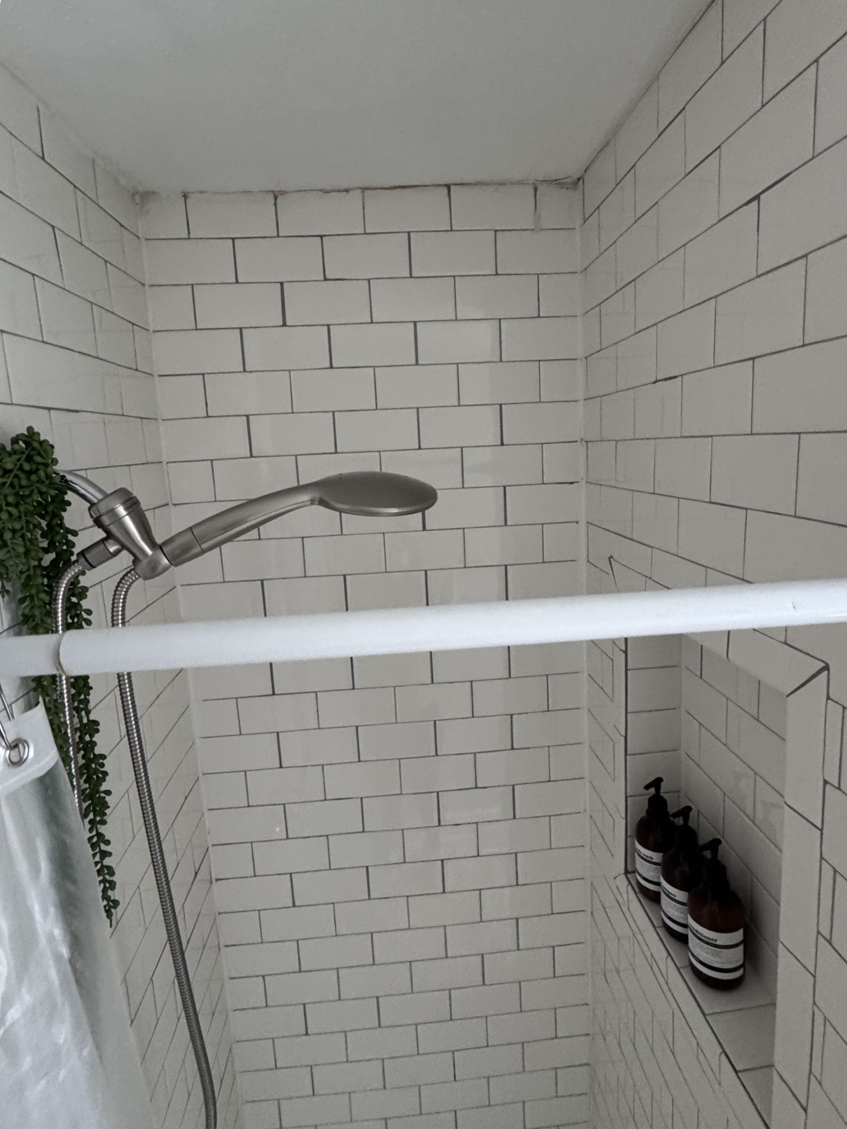 Regadera, amenidades de baño ecológicas, secadora de cabello, toallas 