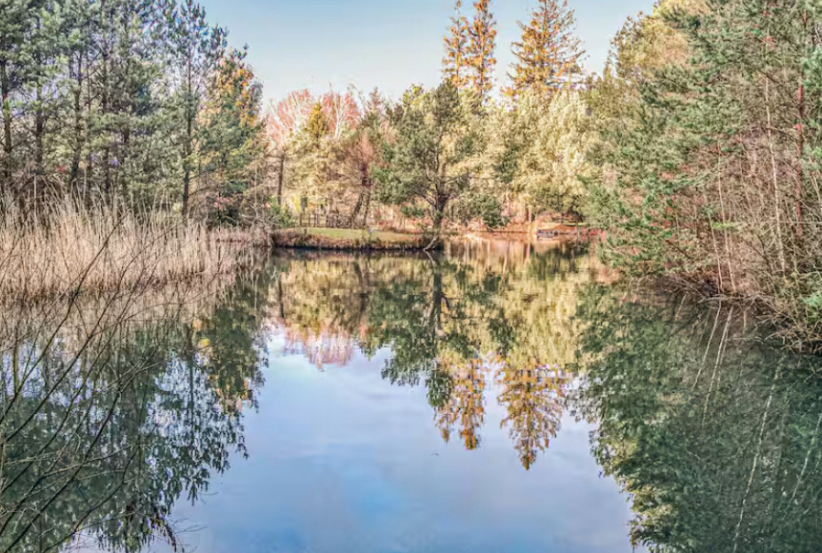 A calm lake surrounded by trees and vegetation.
