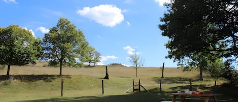 A picnic table with a blanket and a box of tissues.