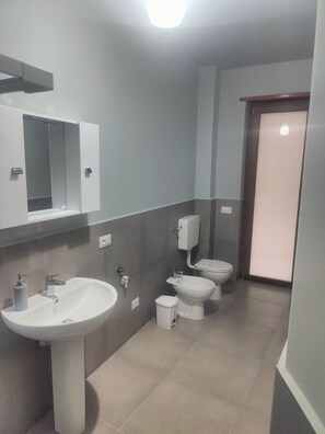 Regadera, secadora de cabello, bidet, toallas 