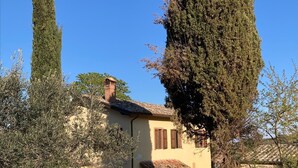 Una villa tradicional con tejado de tejas, rodeada de olivos y un cielo azul despejado.