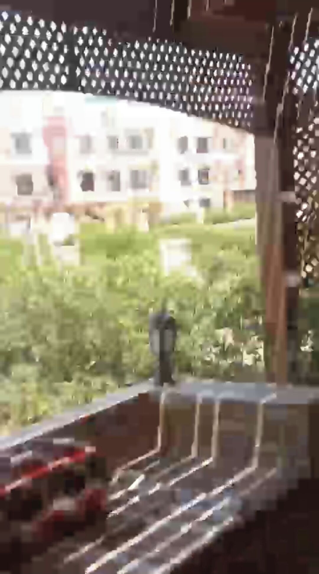 Vista da propriedade
