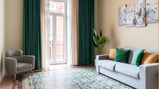 Habitació amb un sofà gris, una planta verda, una catifes amb dibuixos i una finestra amb cortines.