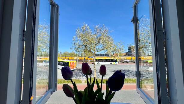 A view through a window with a flower arrangement, a clear sky, and a yellow bus in the background. - StationBeds Studio Station&citycentre (Alkmaar)