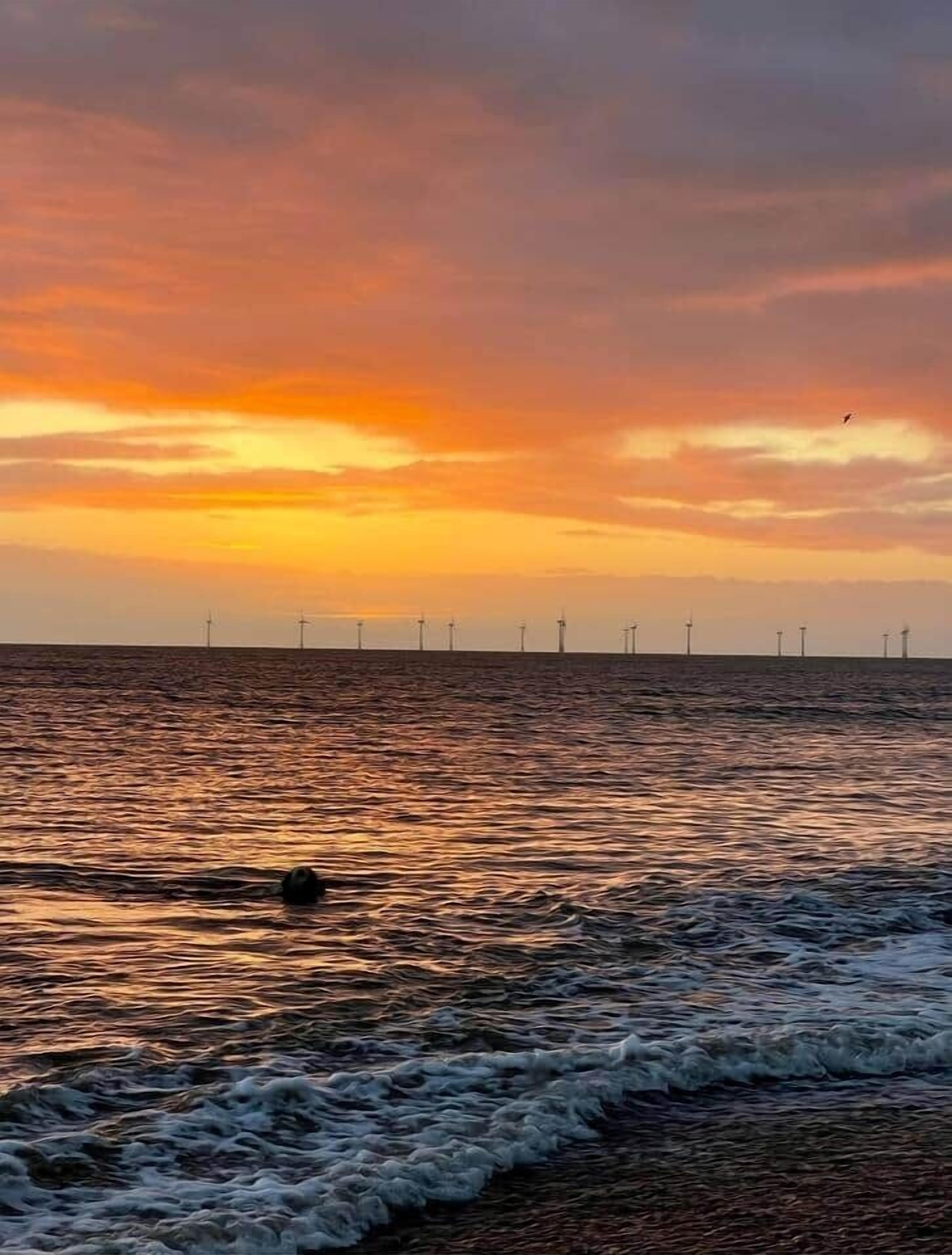 A coastal scene with wind turbines in the distance.