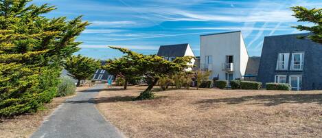 A residential area with modern houses, a paved path, and a clear sky.