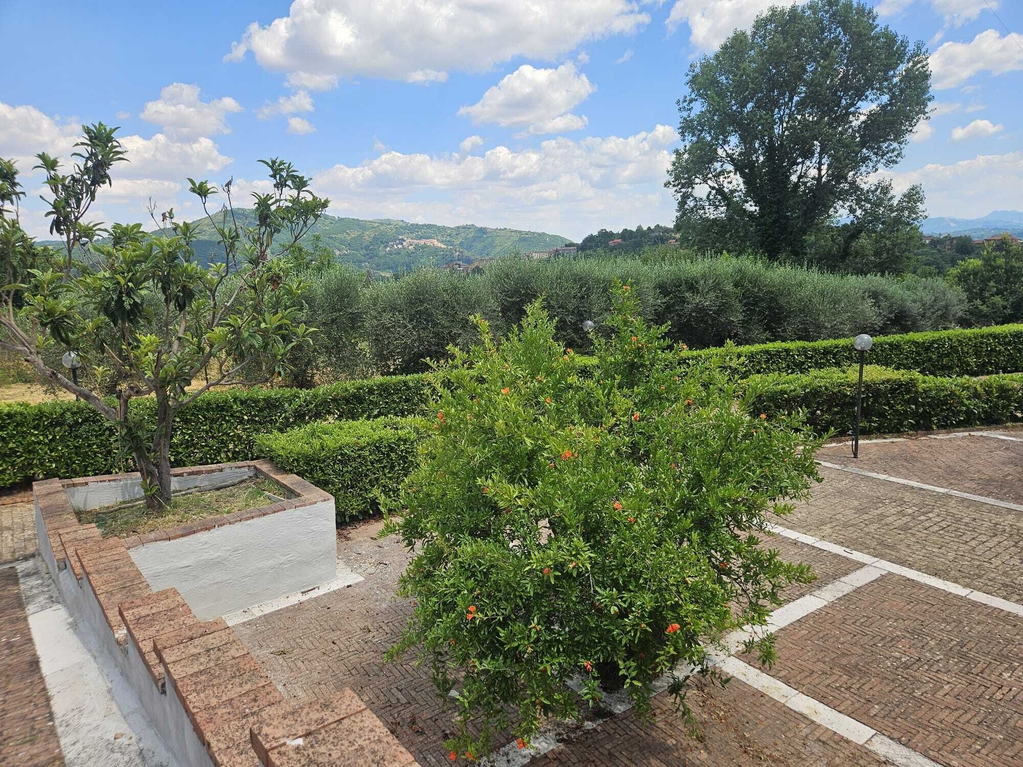 Garden view