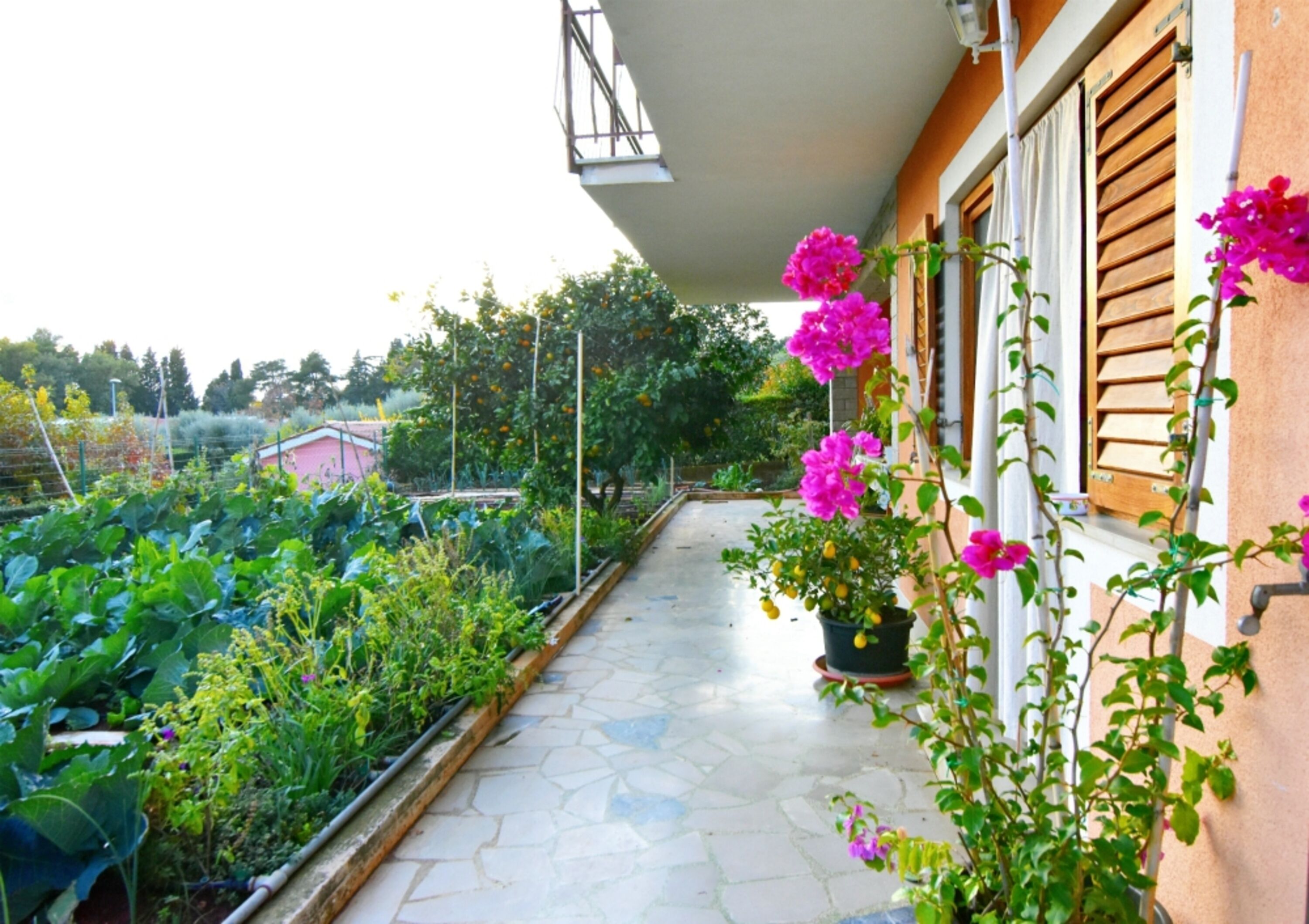 Apartment, 2 Bedrooms, Patio, Garden View | Garden
