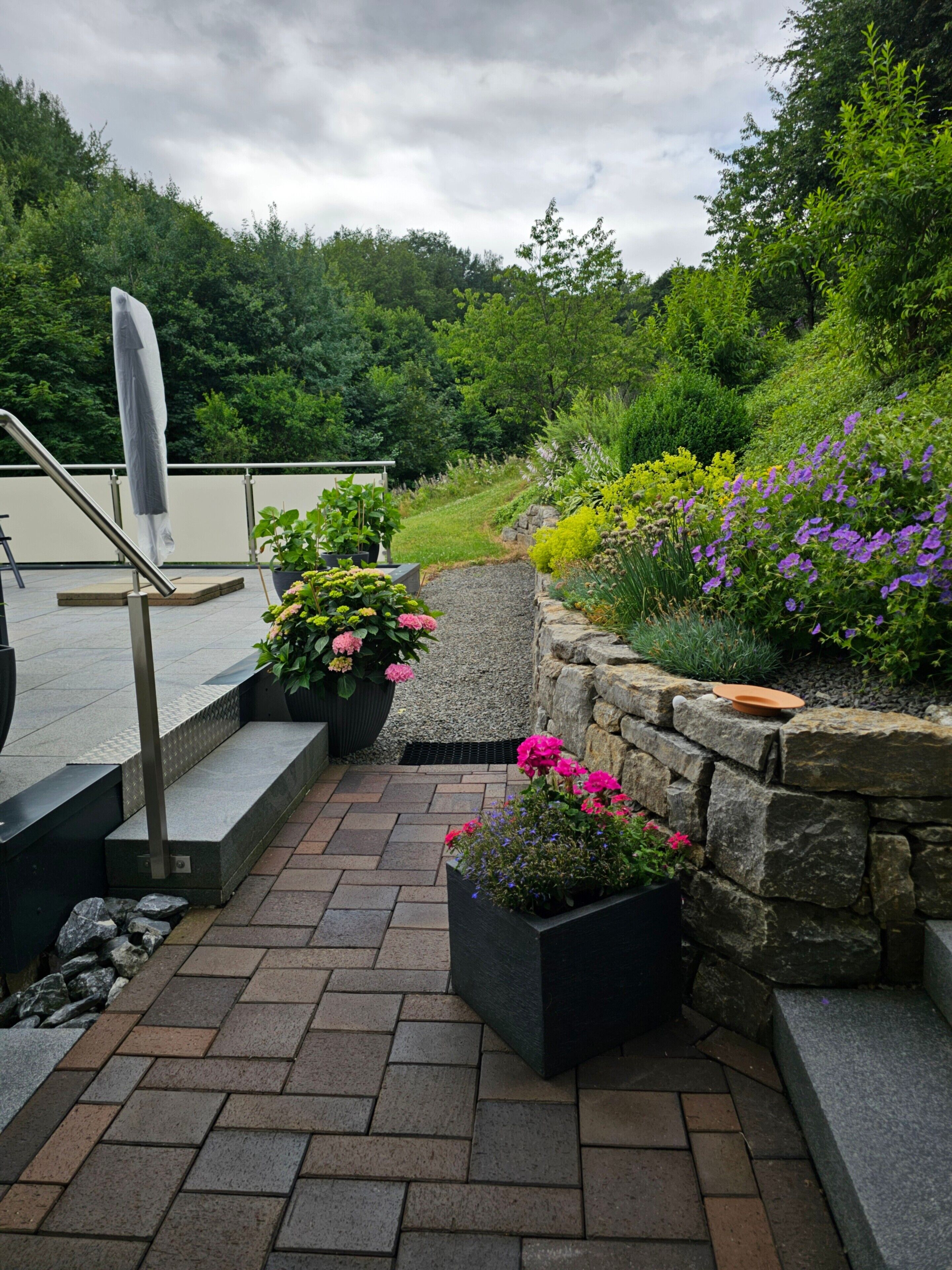 A paved outdoor area with steps leading to a railing, surrounded by various potted plants and flowers.
