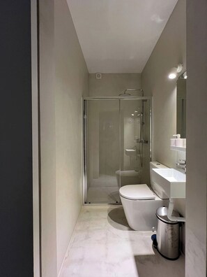 Ein modernes Badezimmer mit einer gläsernen Duschkabine, einer weißen Toilette und einem Waschbecken mit Spiegel.