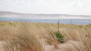 Un paisaje costero con dunas de arena y una masa de agua.