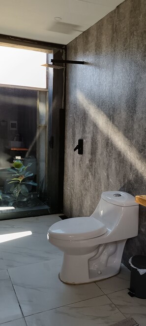 Shower, soap, toilet paper