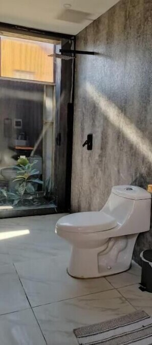 Shower, soap, toilet paper