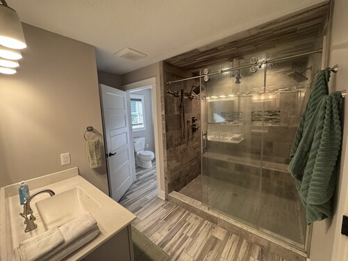 Olivet Oasis - saltwater pool, hot tub, pond, walking trails, game room