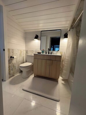 Chuveiro, secador de cabelo, toalhas de banho, shampoo