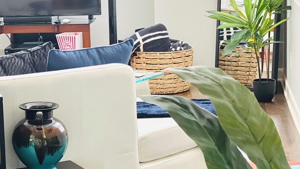 A living room with a sofa, a television, a coffee table, and a potted plant. - Walkable to WW1 Museum - 10 Mins to DT - W&D on Site (Kansas City)