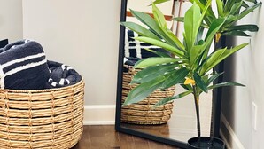A room with a large mirror, a wicker chair with a black and white striped blanket, and a potted plant. - Walkable to WW1 Museum - 10 Mins to DT - W&D on Site (Kansas City)