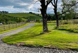 Property grounds - Pantyronen Tourer Holidays in Llandrindod Wells (Llandrindod Wells)