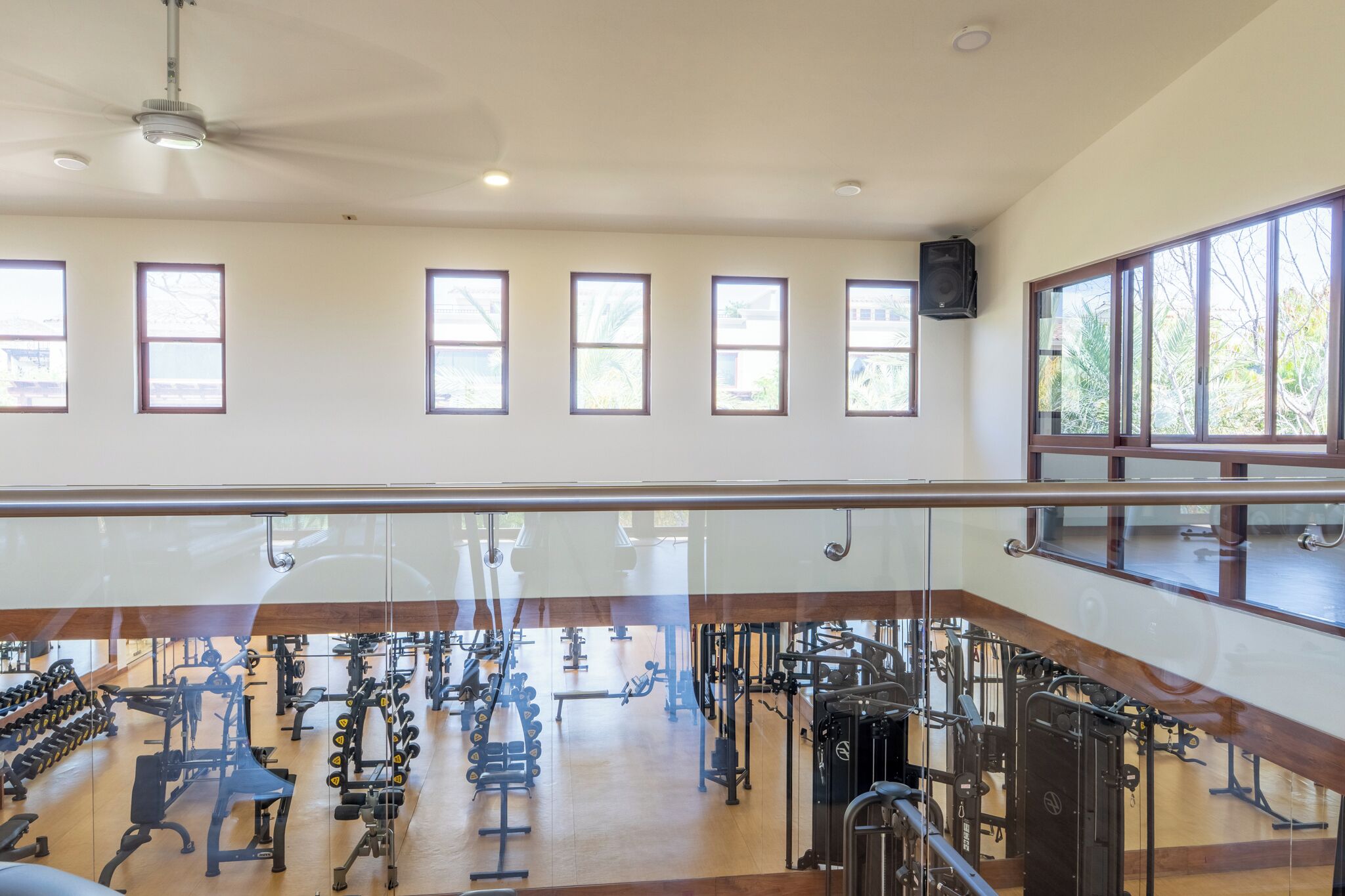 Gimnasio