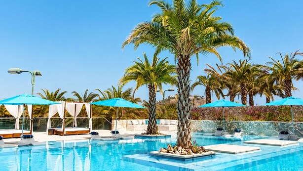 Un área de piscina con sillones de descanso, sombrillas y palmeras.