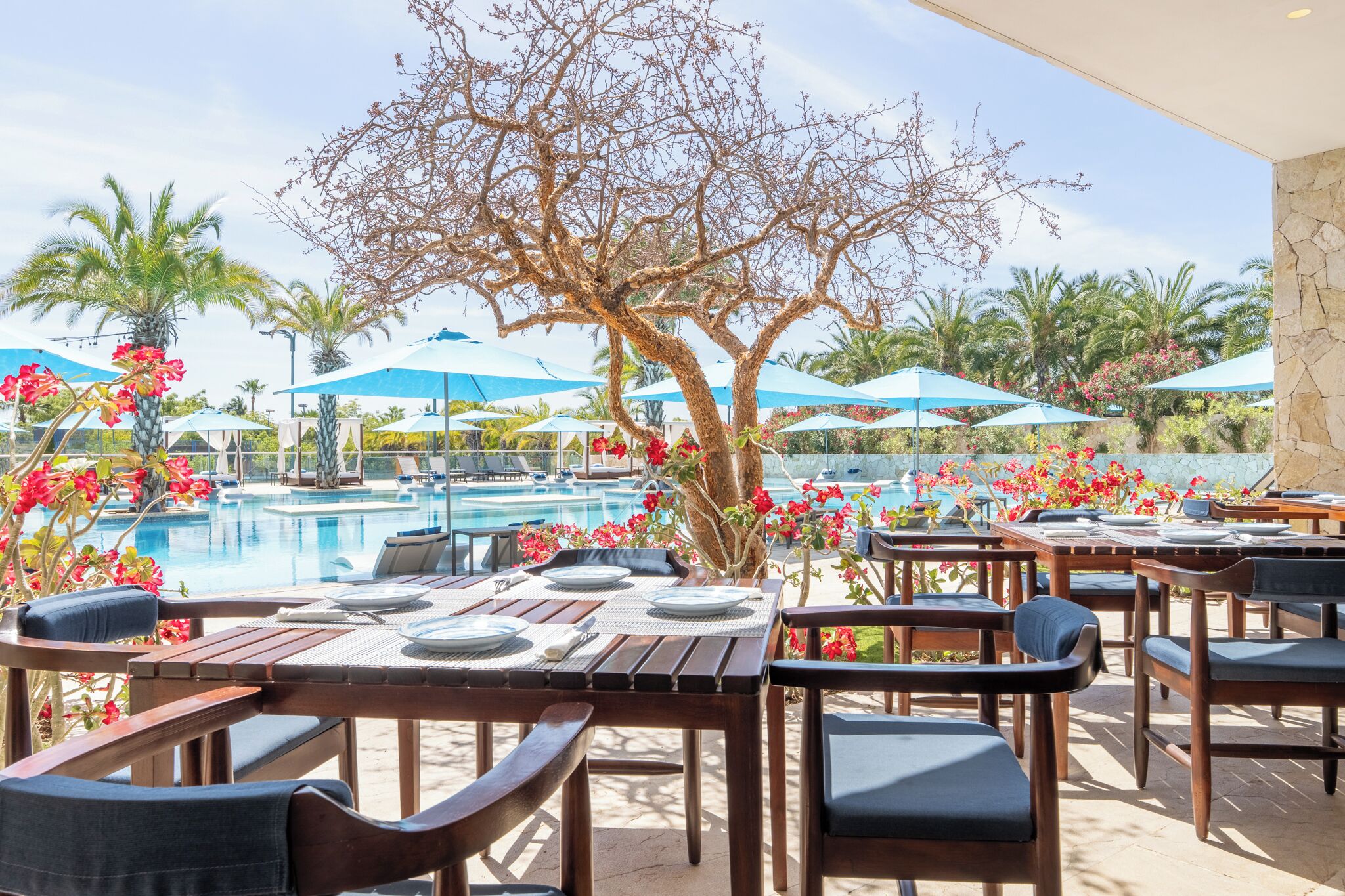 Restaurante al aire libre