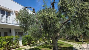 A building with a paved pathway, a tree, and a bicycle. - 'Pilone Del Monaco 9' Apartment with Pool, Sun Deck, and Outdoor Garden (Macchia di Mauro-Pilone)