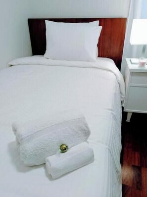 Desk, iron/ironing board, free WiFi, bed sheets - A step away from Gascona with Netflix and wifi VUT7221AS (Oviedo)