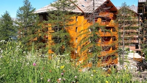 A wooden chalet with a sloped roof surrounded by trees and wildflowers. - Family Alpine Stay in Risoul (Risoul)