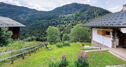 Chambre dâhĂŽtes dans un chalet dâalpage avec vue montagne, terrasse et jardin privĂ©s