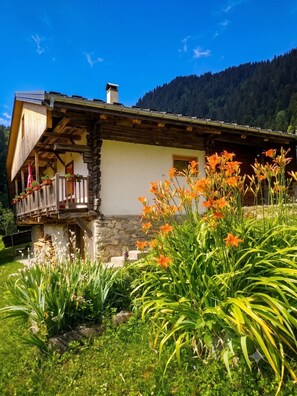 Detalle exterior