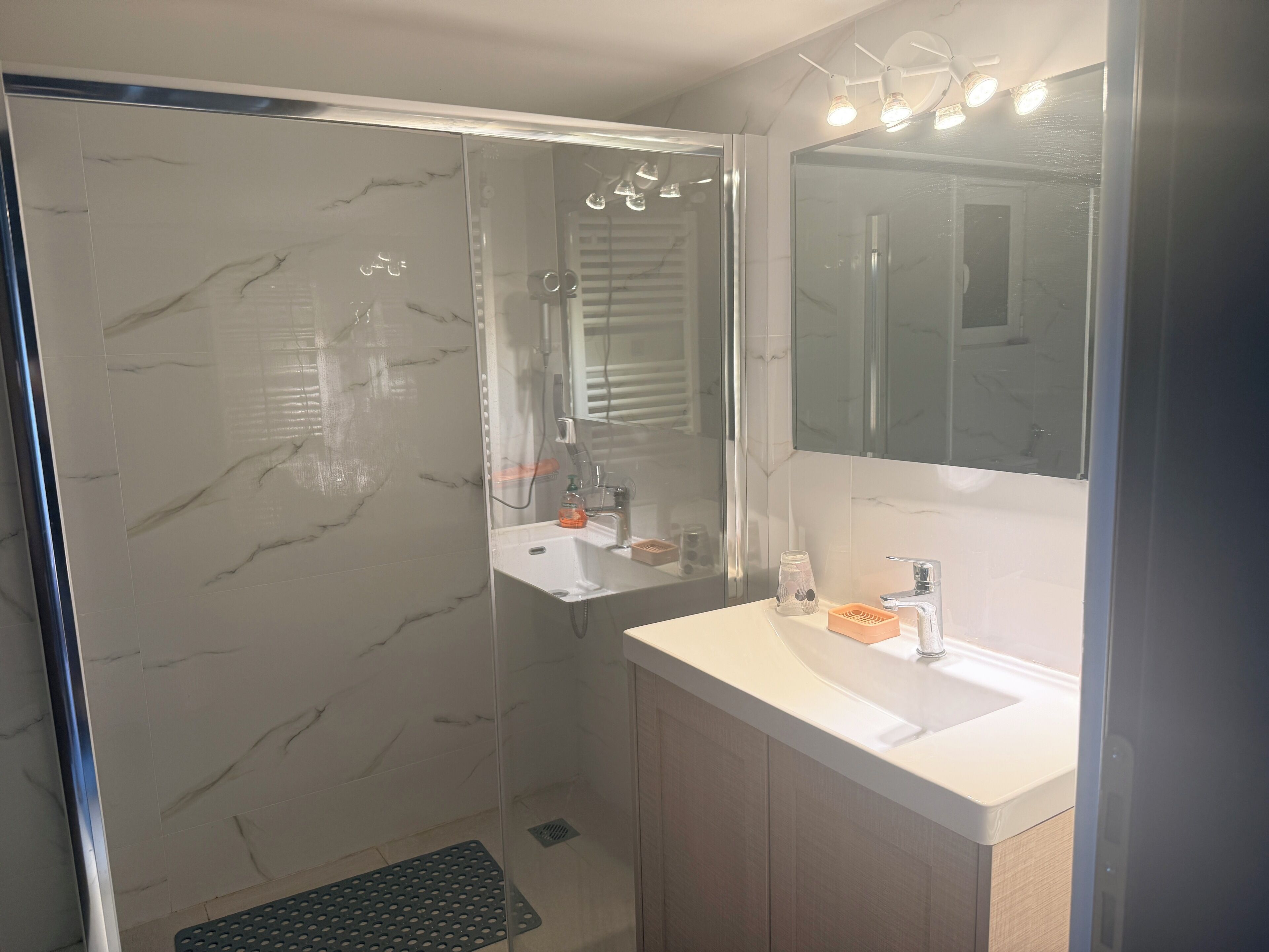 Shower, hair dryer, bidet, towels