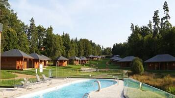 Chalet | Pool | Indoor pool, outdoor pool