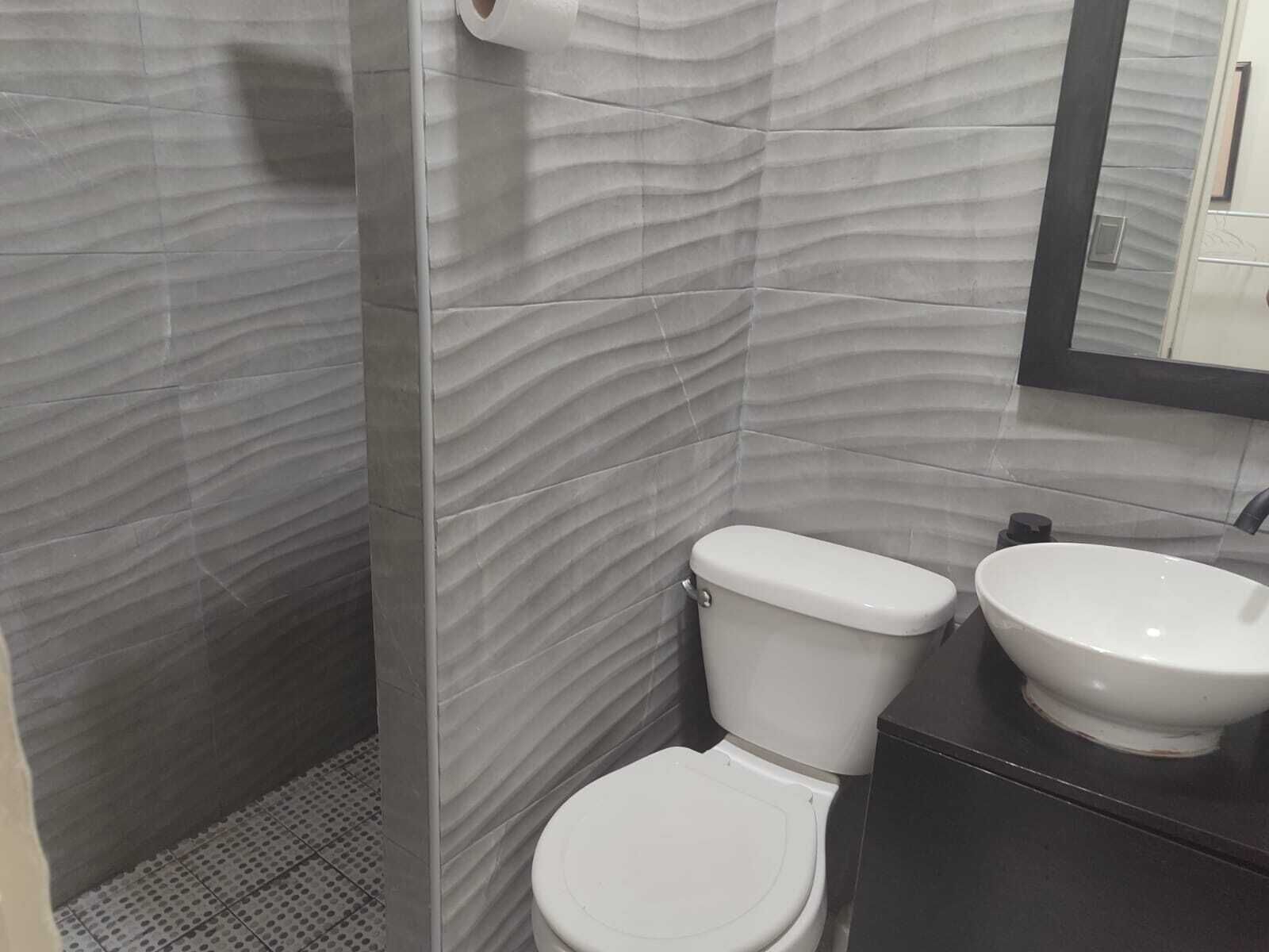 Toallas, jabón, champú y papel higiénico