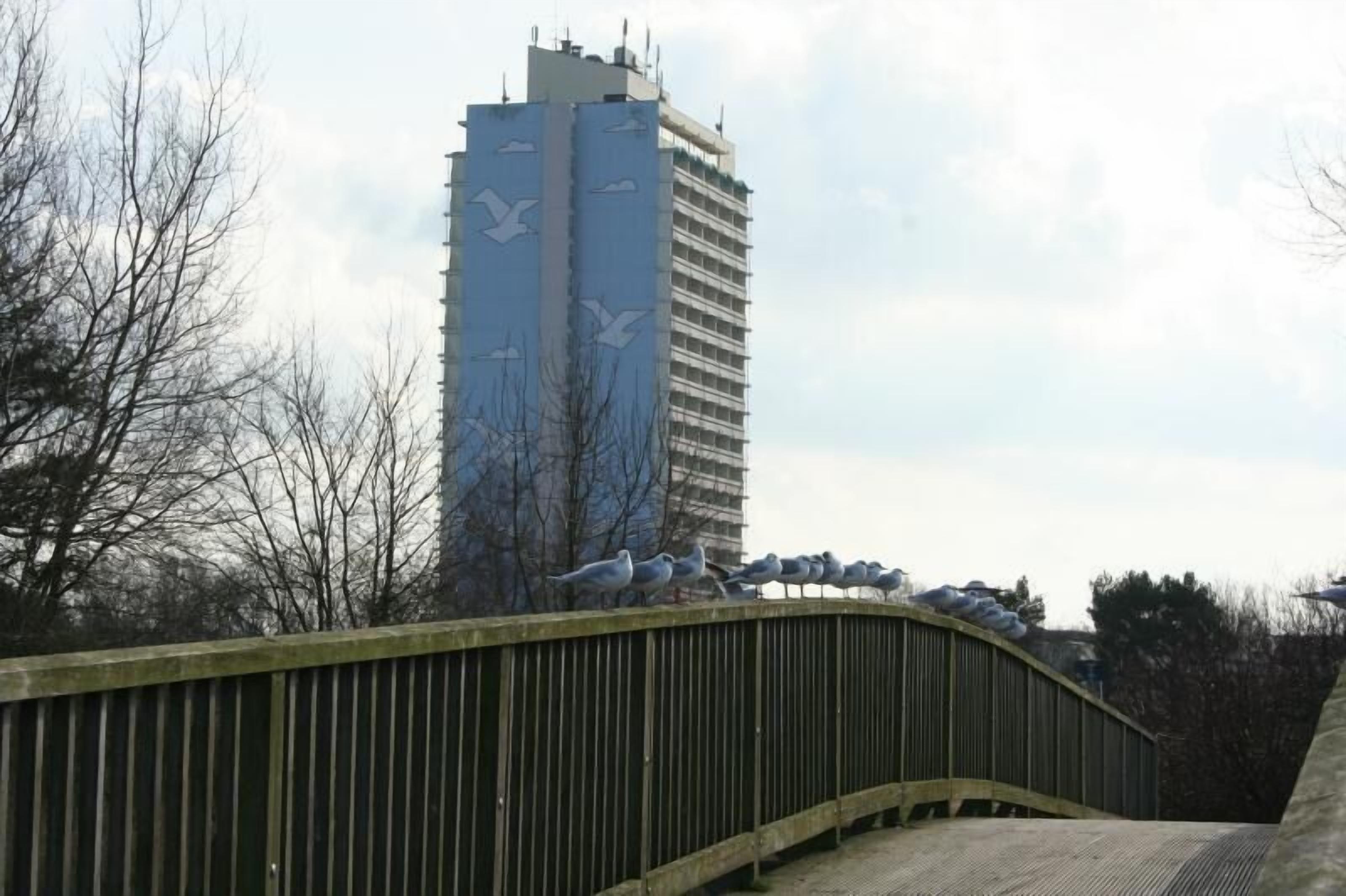 Een brug met duiven die erop zitten, omringd door kale bomen en een hoog gebouw op de achtergrond.