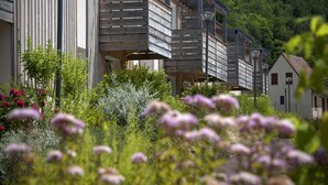 Un edificio moderno con facciata in legno, un balcone e un giardino con diverse piante e fiori.