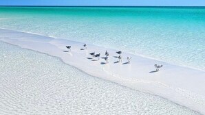 A beach with clear turquoise water and white sand. - Cozy updated 2-bedroom condo with AC in serene Destin. (Destin)