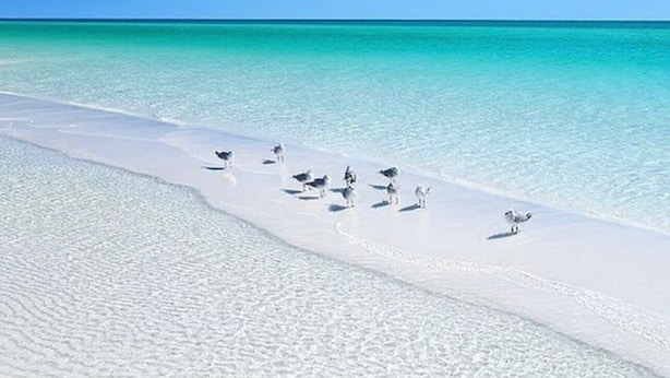 A beach with clear turquoise water and white sand. - Cozy updated 2-bedroom condo with AC in serene Destin. (Destin)