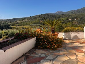 Property grounds - Apartment 'Agave' with Private Garden, Wi-Fi and Air Conditioning (Marina di Campo)