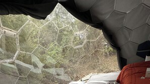 A room with a hexagonal glass ceiling, a bed with a red blanket, and a view of a forested area.
