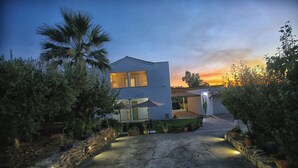 A modern house with a paved driveway, stone walls, and potted plants.