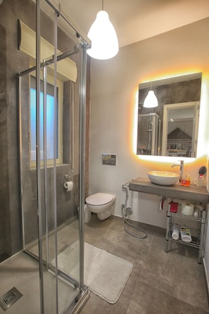Shower, hair dryer, bidet, towels