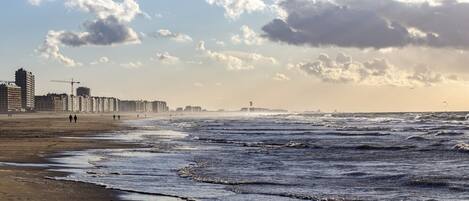 Plage à proximité