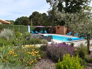 Ein Poolbereich mit Liegestühlen, einer Holzterrasse und einem Garten mit verschiedenen Pflanzen und Blumen.