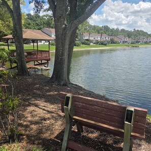 Property grounds - Perfect 3-bedroom condo with AC, pool, garden near Lake Heron (Lutz)